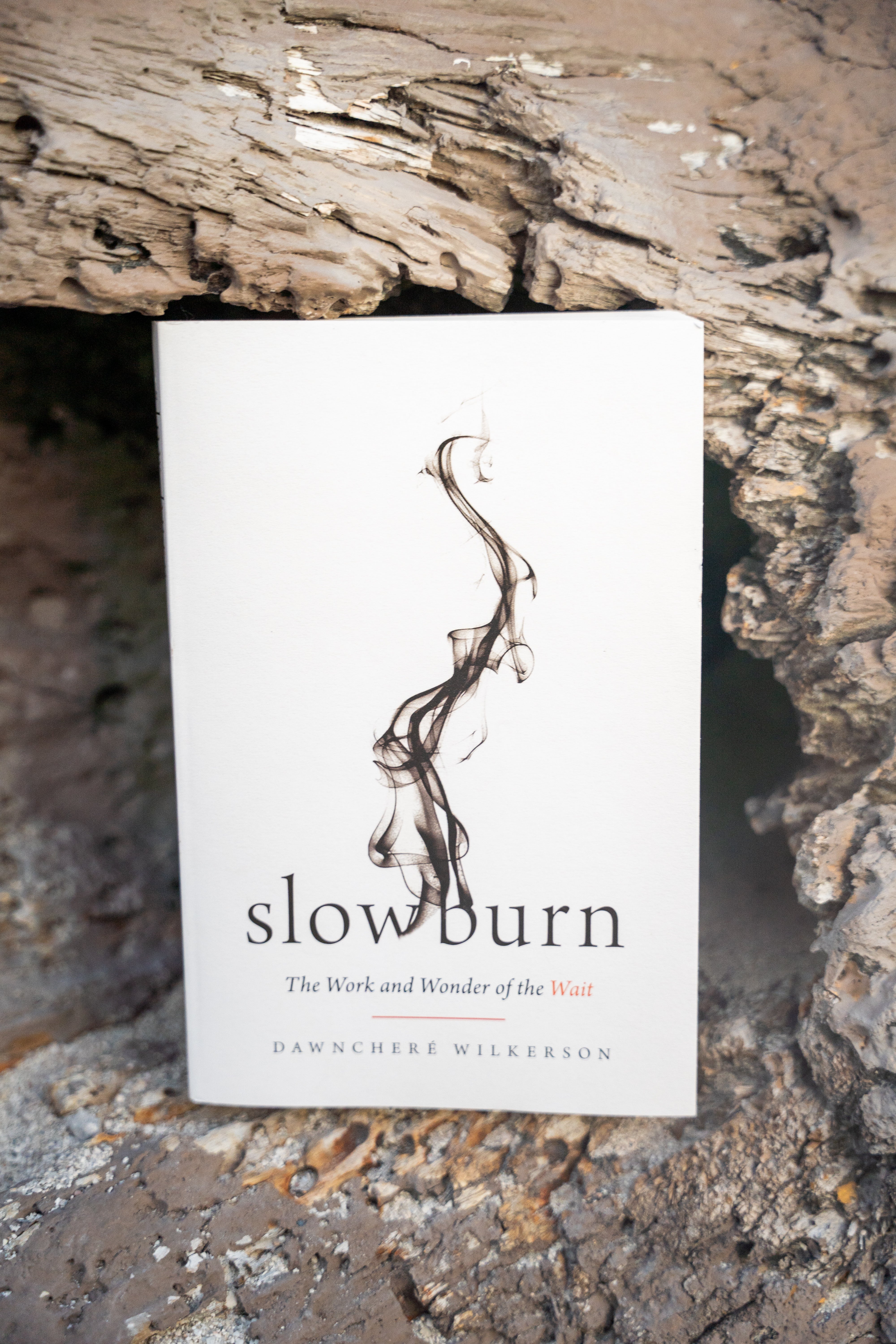 Slow Burn: The Work and Wonder of the Wait