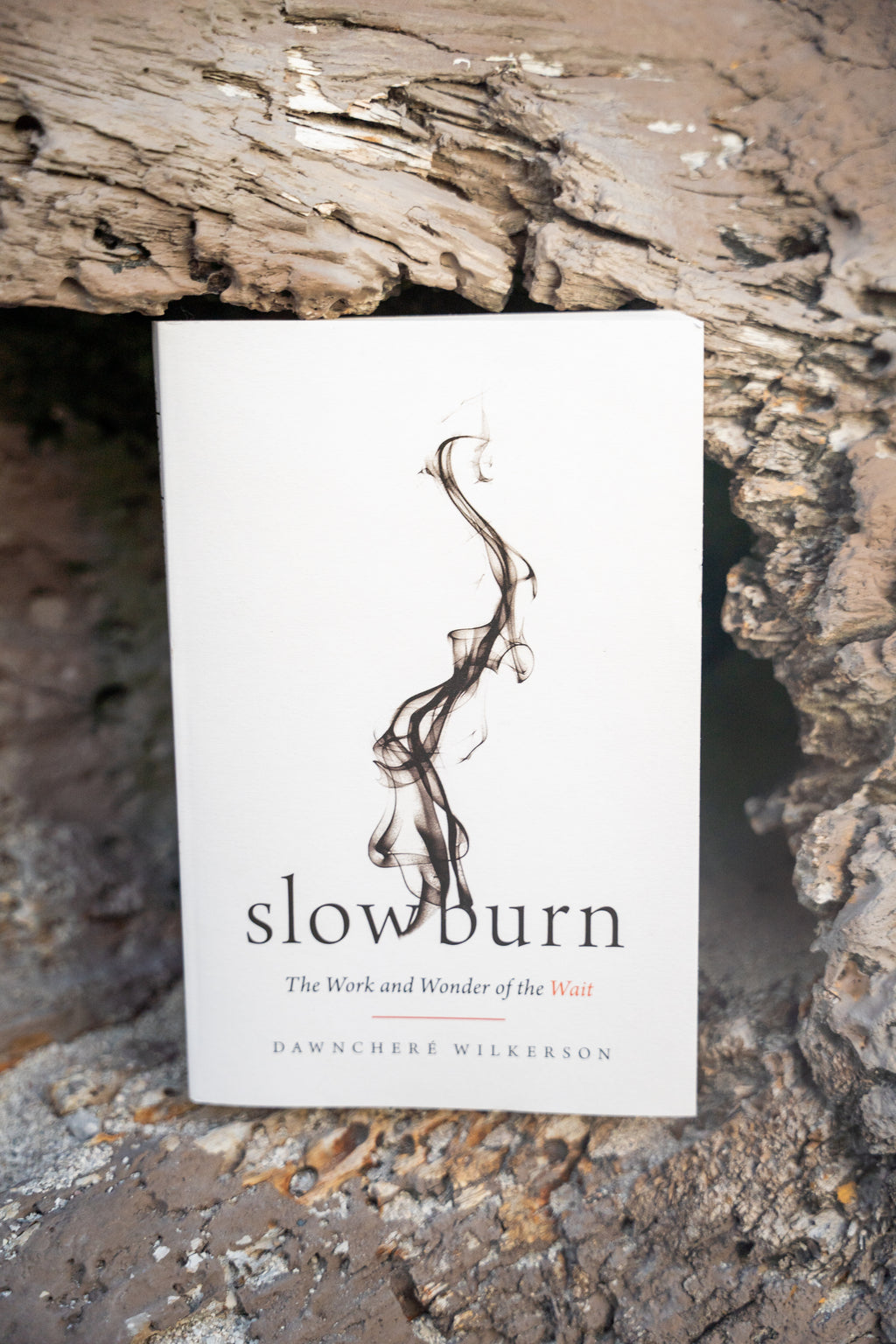 Slow Burn: The Work and Wonder of the Wait